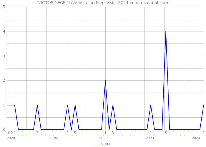 VICTOR NEGRIN (Venezuela) Page visits 2024 