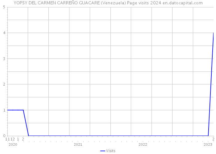 YOPSY DEL CARMEN CARREÑO GUACARE (Venezuela) Page visits 2024 