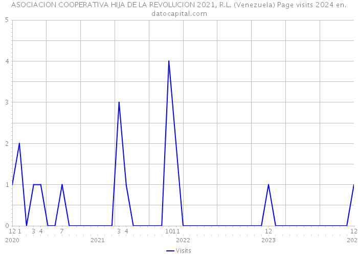 ASOCIACION COOPERATIVA HIJA DE LA REVOLUCION 2021, R.L. (Venezuela) Page visits 2024 