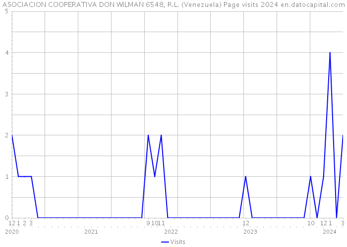 ASOCIACION COOPERATIVA DON WILMAN 6548, R.L. (Venezuela) Page visits 2024 