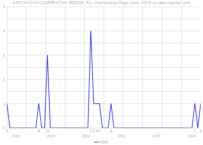 ASOCIACIóN COOPERATIVA PEDSAR, R.L. (Venezuela) Page visits 2024 