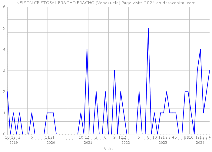 NELSON CRISTOBAL BRACHO BRACHO (Venezuela) Page visits 2024 
