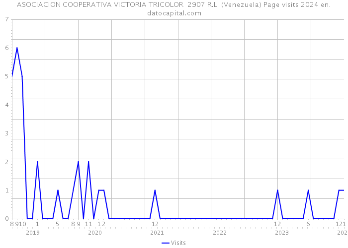 ASOCIACION COOPERATIVA VICTORIA TRICOLOR 2907 R.L. (Venezuela) Page visits 2024 