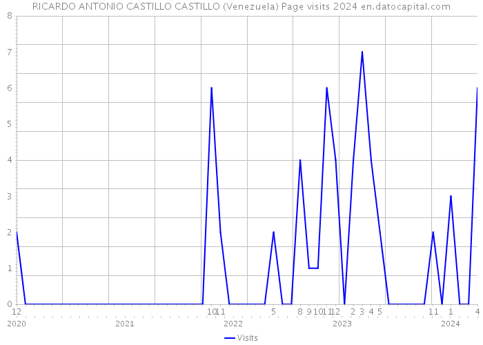 RICARDO ANTONIO CASTILLO CASTILLO (Venezuela) Page visits 2024 