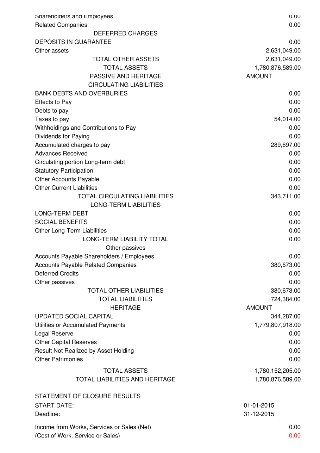 Liabilities equity and results (page 30)